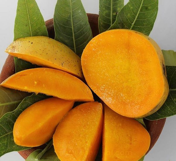 Which Country Has The Best Mangoes?